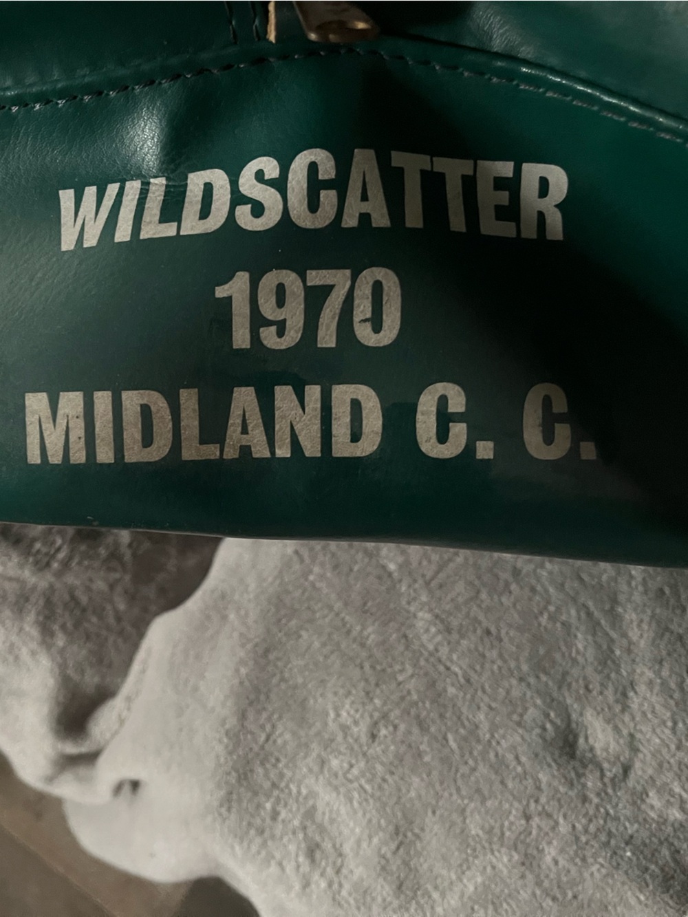 WILDSCATTER 1970 Green Graphic Bag